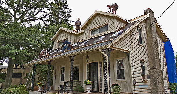 Best Shingle Roofing Installation  in Oakland City, IN