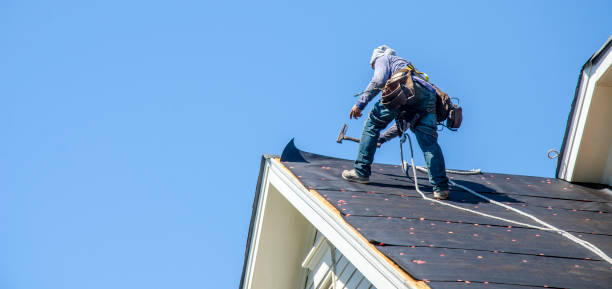 Roof Gutter Cleaning in Oakland City, IN